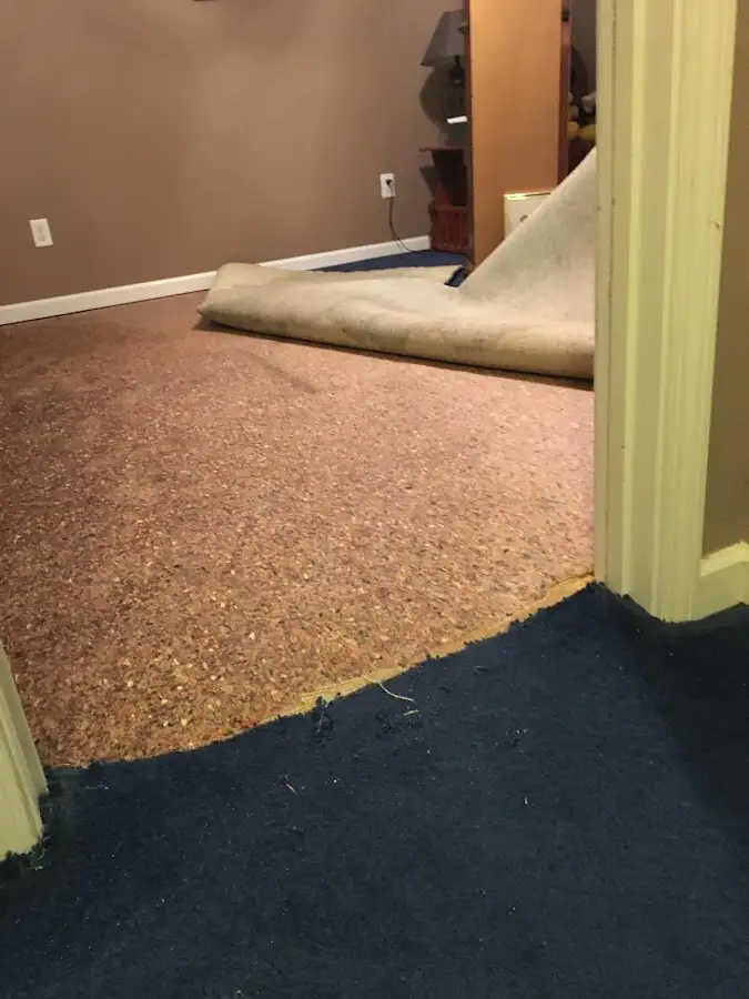 Carpet pad removal revealing water damage during Drying & Dehumidification in Emmaus